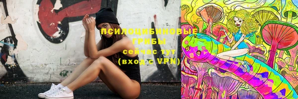 спиды Новокубанск