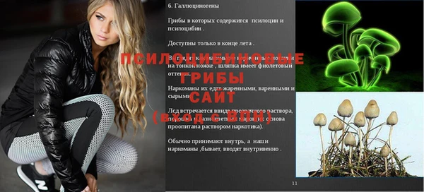 а пвп мука Новозыбков